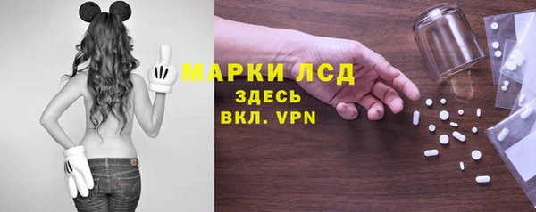 крисы Дубна