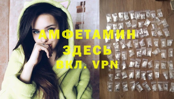 крисы Дубна