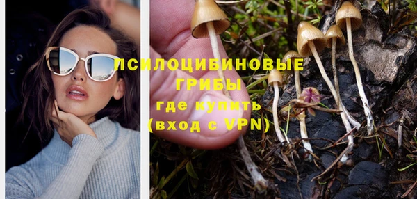 герыч Дубовка