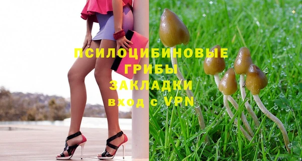 соль ск Дрезна