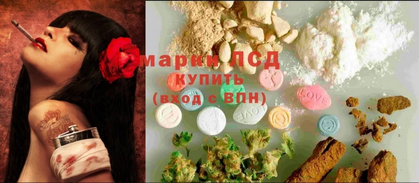 крисы Дубна