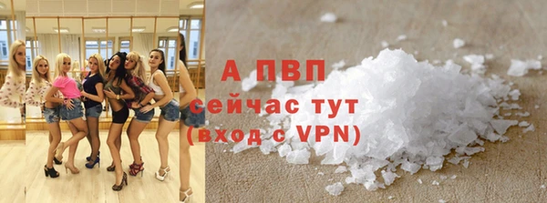 ECSTASY Семикаракорск